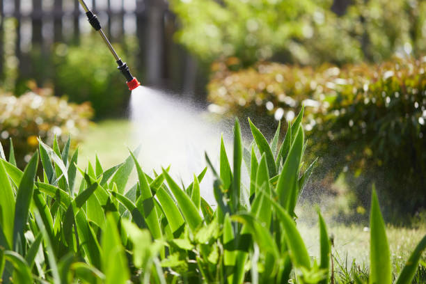 24/7 Emergency Termite Control experts in Aberdeen, NC
