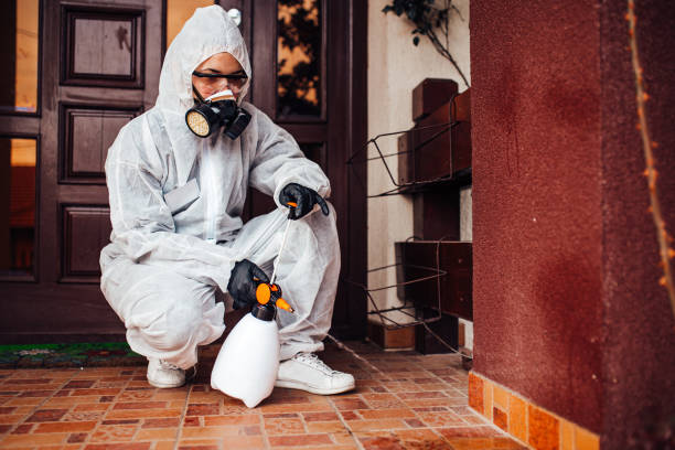 Reliable Termite Control contractor in Aberdeen, NC by Nex Pest Control