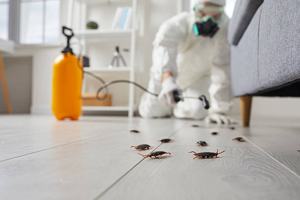 Affordable Termite Control solutions in Aberdeen, NC