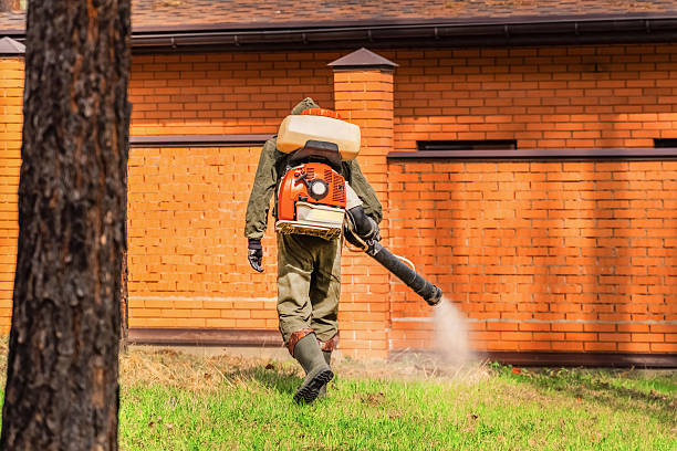 Top rated local Termite Control specialists in Aberdeen, NC